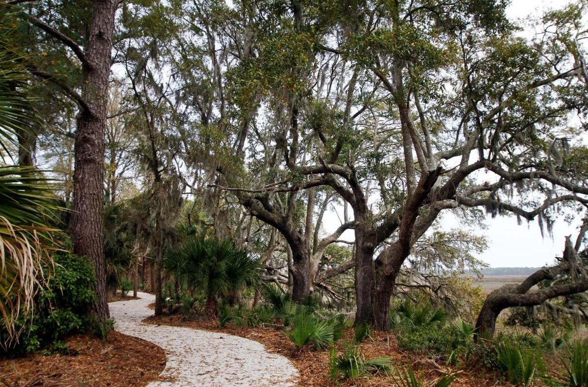 A path to the marsh in Palmetto Bluff leads visitors beneath a canopy of trees.