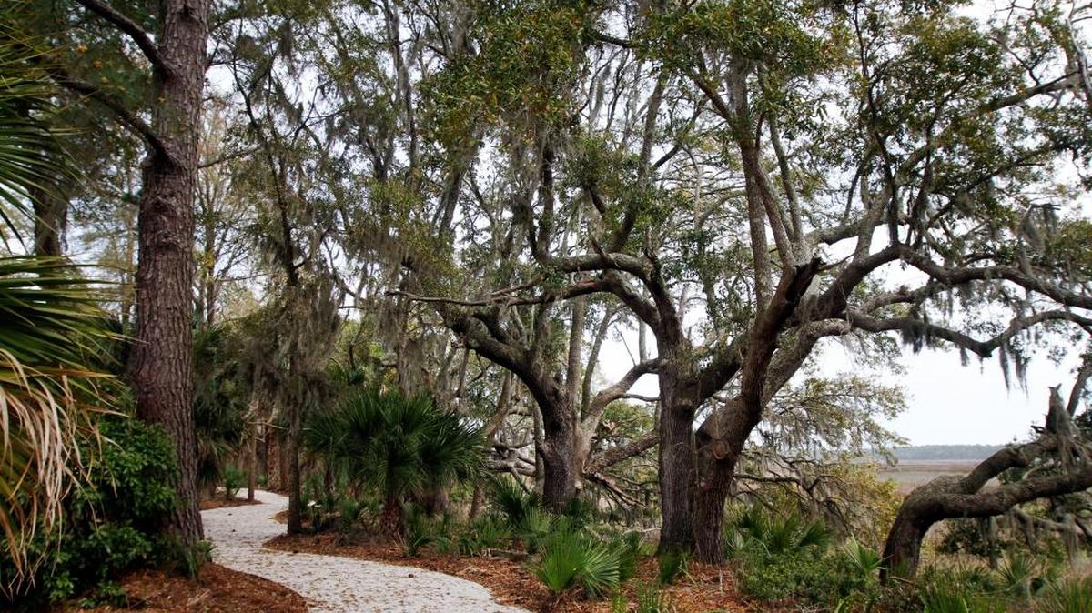 A path to the marsh in Palmetto Bluff leads visitors beneath a canopy of trees.