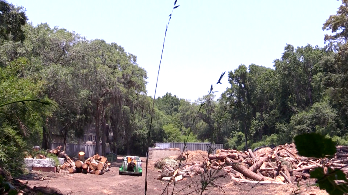 A work area at Hilton Head Island mulching business ArborNature sits idle on June 22, 2015. The company was cited by the Town last month for operating other than as a wholesale nursery, and is appealing. Neighbors have complained about noise levels from the company’s work recycling trees into mulch.