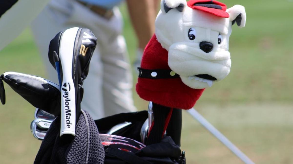 Several golf players were spotted with unique golf bags at RBC Heritage this week.