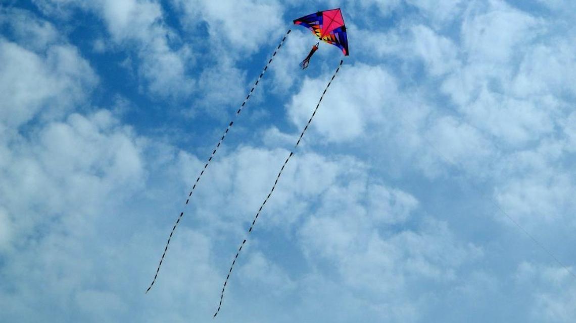 You survived Hurricane Matthew. Come fly a kite with us.