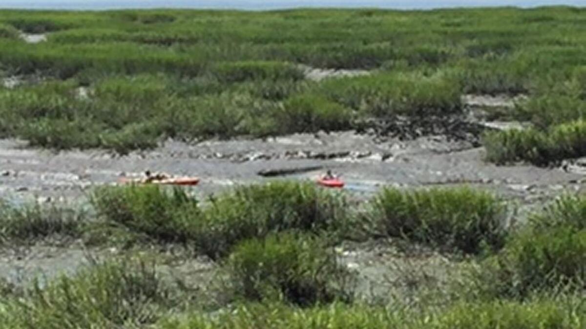 Two kayakers are stranded on Saturday in the pluff mud on the bank of the Beaufort River.