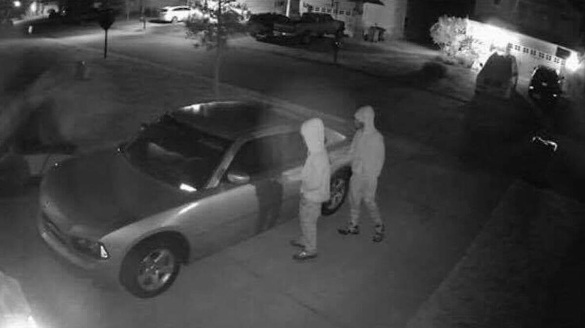 Two suspects were seen on surveillance footage entering and stealing from vehicles in the Shadow Moss community in Port Royal early Wednesday morning, according to Port Royal Police Department.