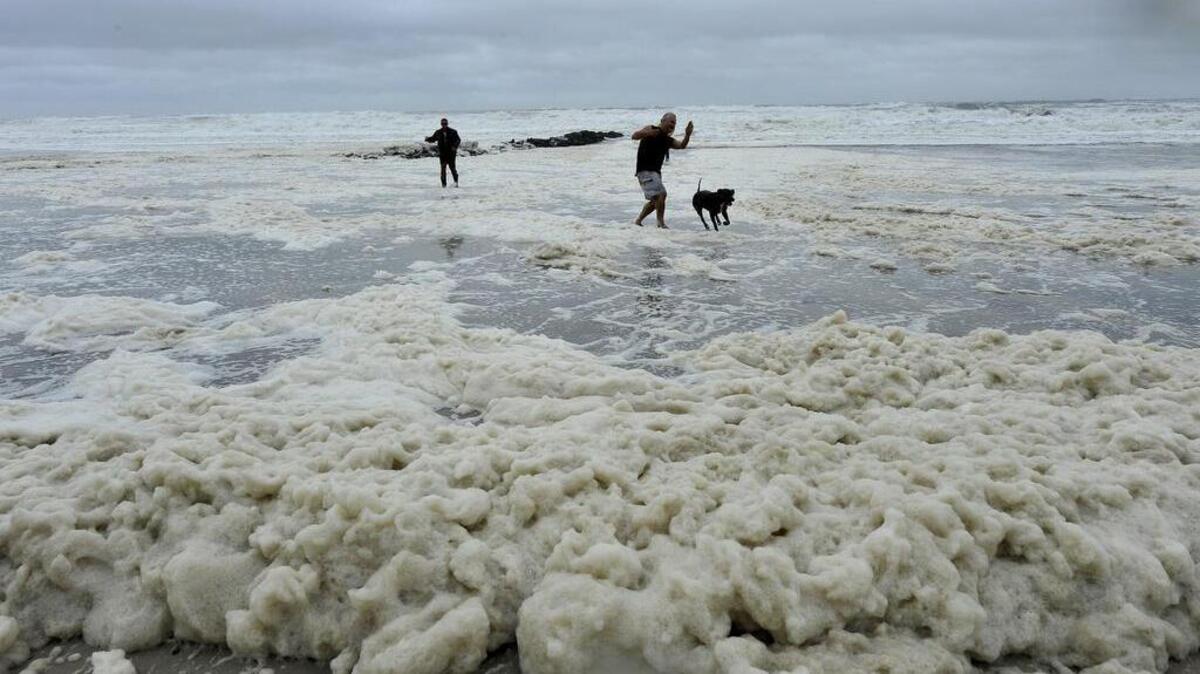 Two men and a dog frolic in the sand-filled sea foam from the Atlantic Ocean on Aug. 28, 2011, in Long Beach, N.Y. Coastal communities along the Eastern seaboard have passed resolutions opposed to offshore drilling or seismic exploration.
