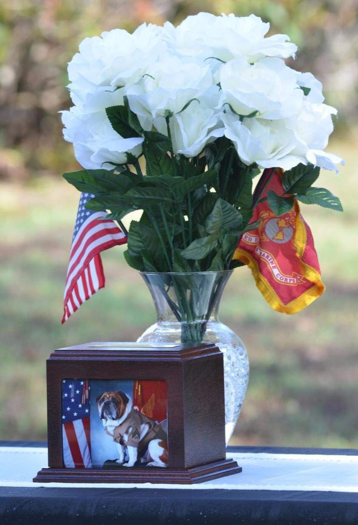 The box containing the ashes of Cpl. Legend, the Marine Corps Recruit Depot Parris Island bulldog mascot that died on Sept. 17, await burial during Legend's funeral on Friday in the depot’s mascot graveyard.
