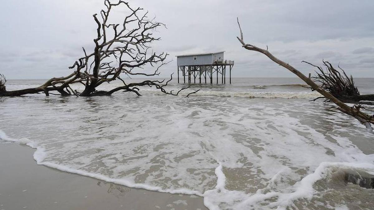 Beach erosion along Cabin Road in Hunting Island State Park is shown in photos taken on Sunday, Nov. 22, 2015.