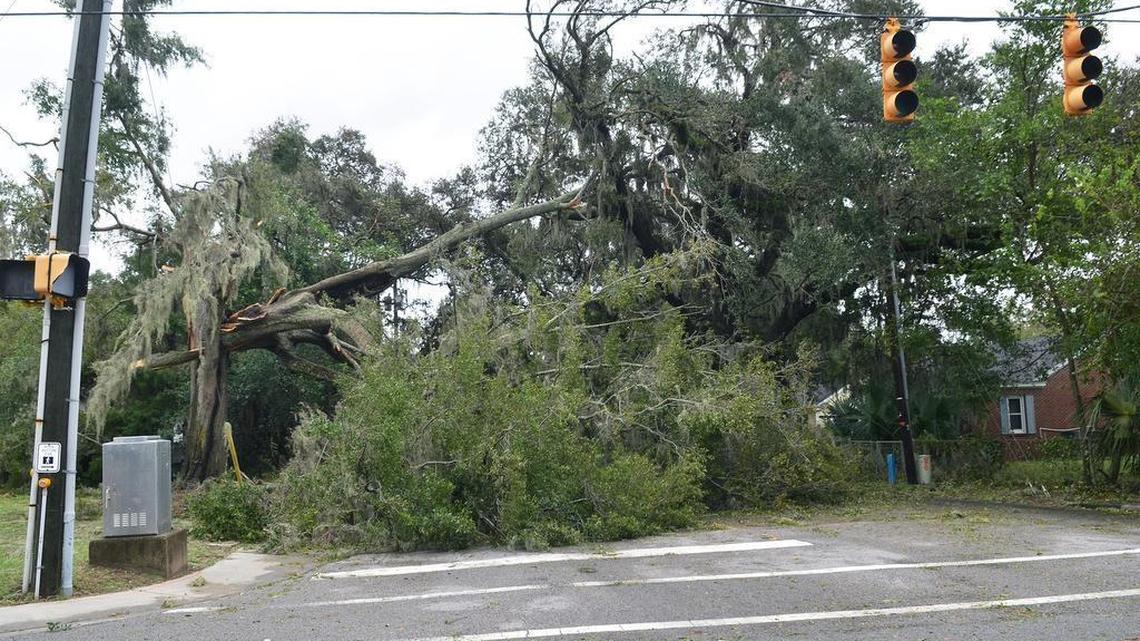 A tree, one of may felled by Hurricane Matthew on Oct. 8, 2016, blocks North Street at Ribaut Road in Beaufort.