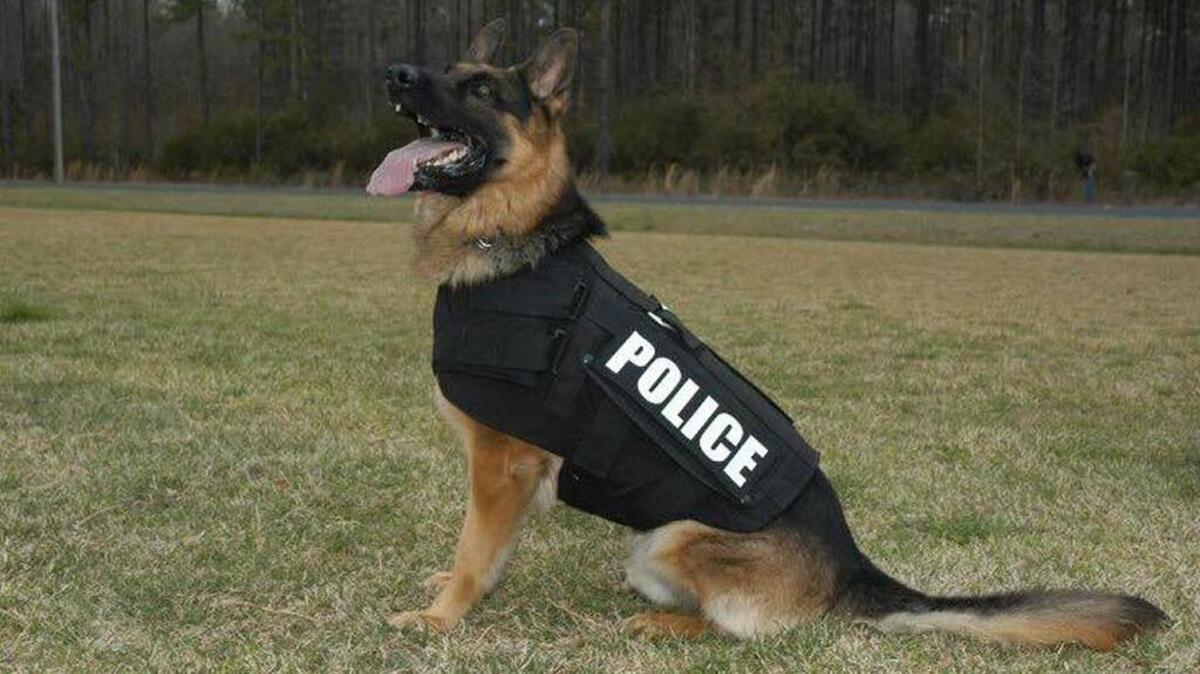 Santos