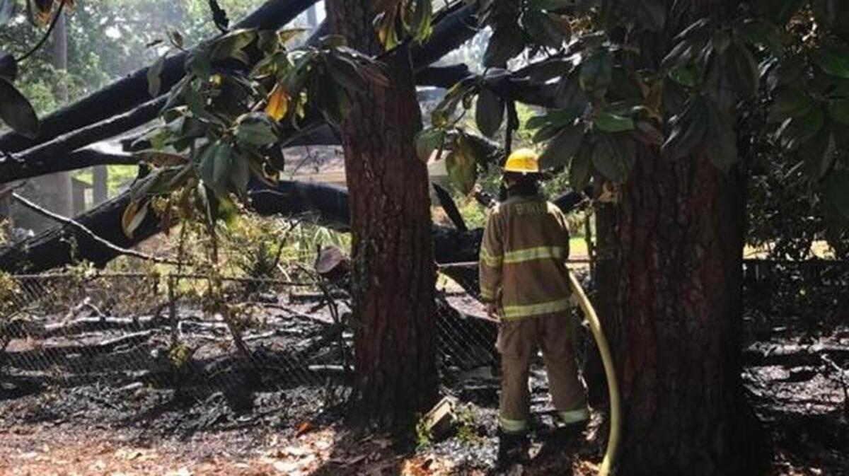 A Burton firefighter extinguishes a brush fire Friday.