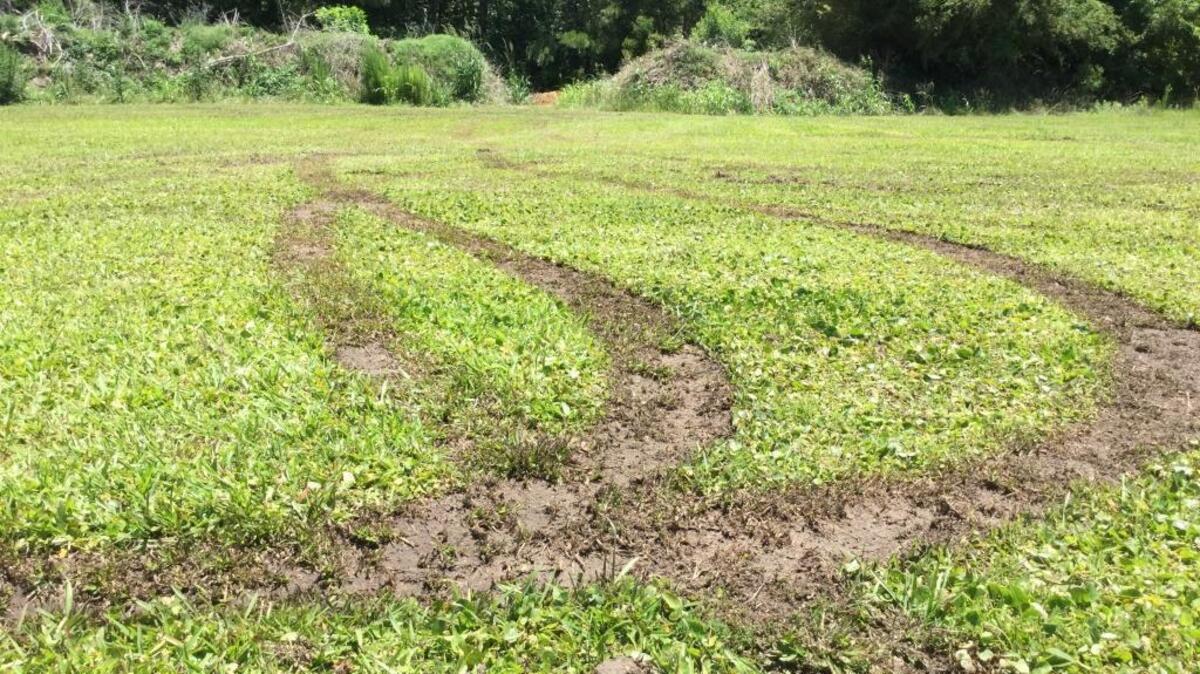 Vehicle tires cut “doughnuts” on the lawn, dug up grass and scarred the cemetery. One deep cut in the lawn came within about a foot of going over into a pond on the property. The damage to the grounds is estimated at about $1,000, according a Beaufort County Sheriff’s Office report.