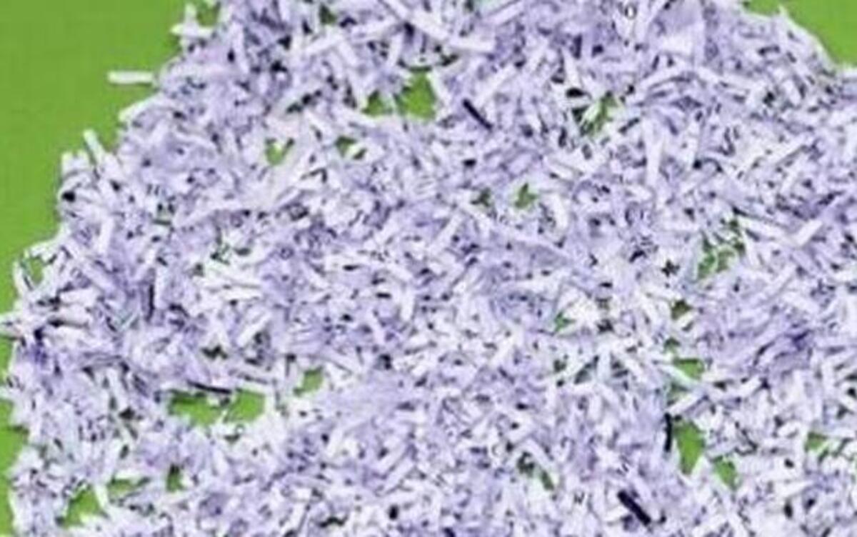Beaufort County will offer secure document shredding services from 9 a.m. to 3 p.m. June 10 at 9 Benton Field Rd., Bluffton.