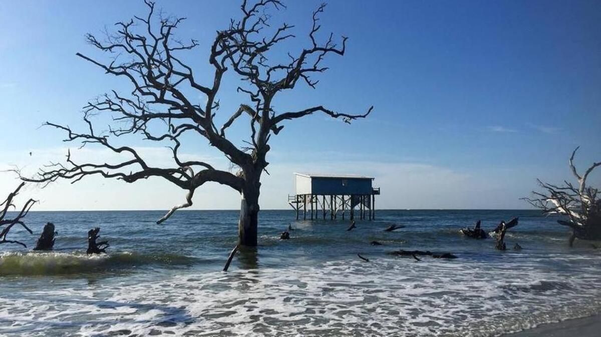 Little Blue, the last cabin left standing on the eroding southern tip of Hunting Island State Park, has long been well past the high-tide mark. Park officials have said it will be removed soon. Jeff Kidd jkidd@beaufortgazette.com