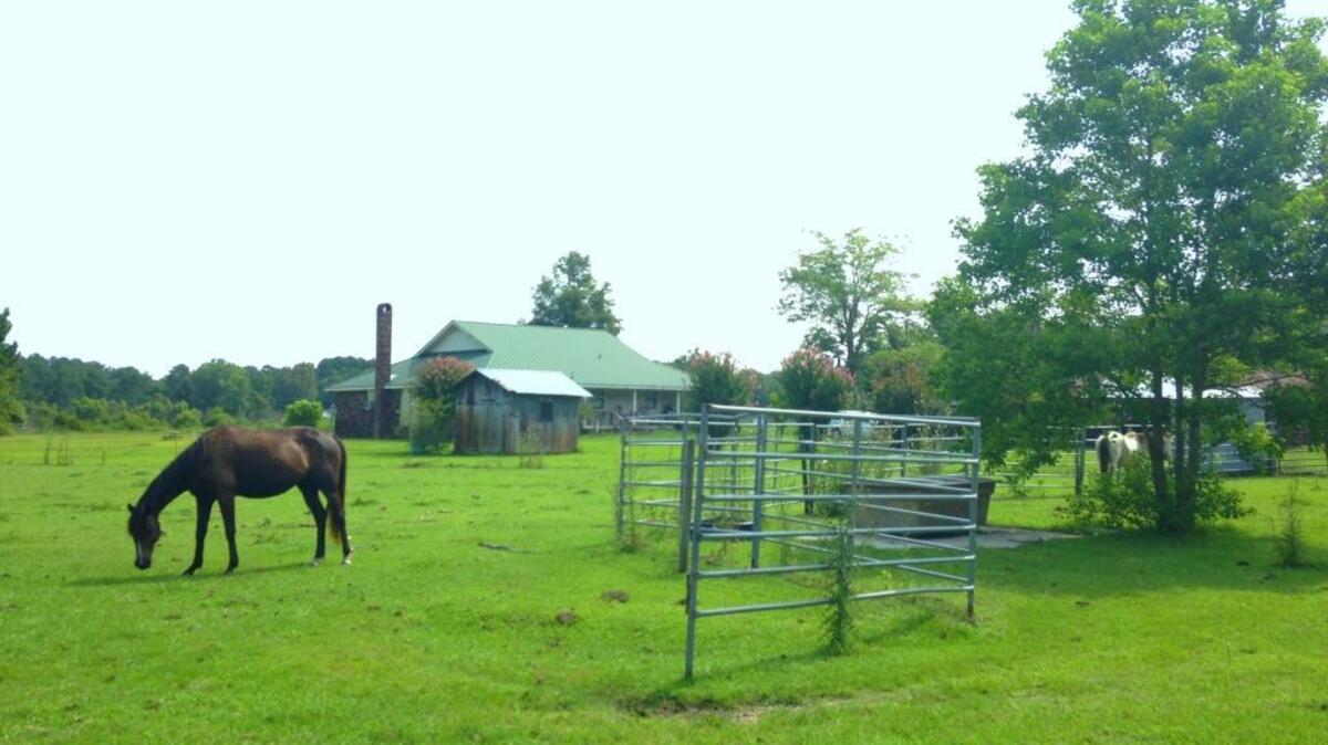 An easement on the Moody family farm in northern Beaufort County preserves the from interfering with Marine Corps Air Station Beaufort activity. The easement was bought by the Air Station and Beaufort County Rural and Critical Land Preservation Program.