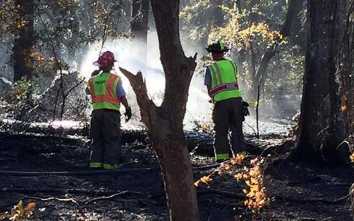 Firefighters put out a brush fire on Saxonville Road on St. Helena Island on Saturday.