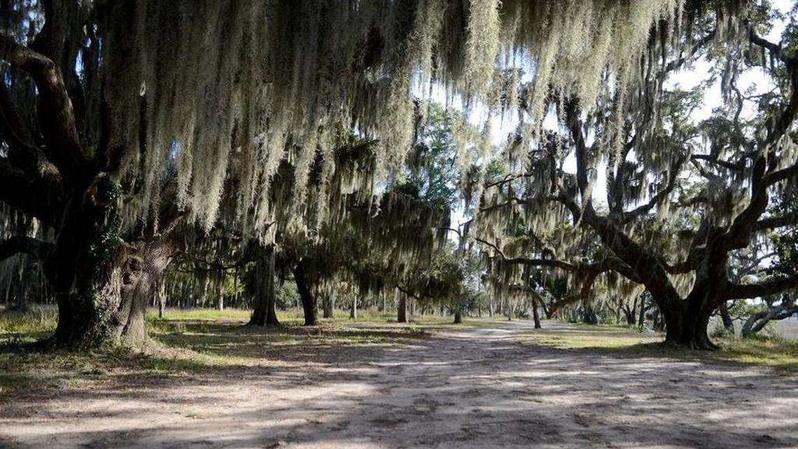 Election 2018: What to know about the $25M Beaufort Co. land conservation referendum