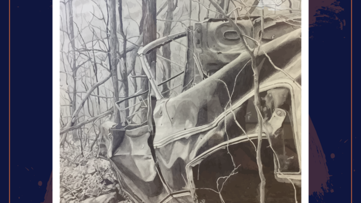 Beaufort High School junior Isabelle Lieblein won a Congressional art competition over entries from throughout the 1st District. She earned a trip to Washington, D.C.