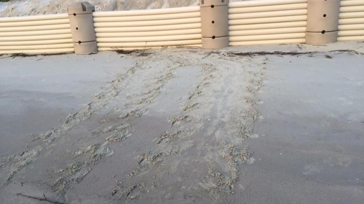Plastic, experimental seawalls, such as this one at Harbor Island, are blocking sea turtles from nesting along the SC coast, state officials say