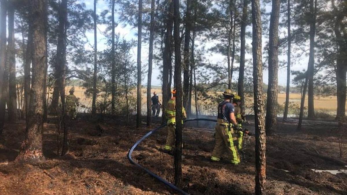 Burton and Sheldon fire districts fought a brush fire along Trask Parkway late Wednesday morning.