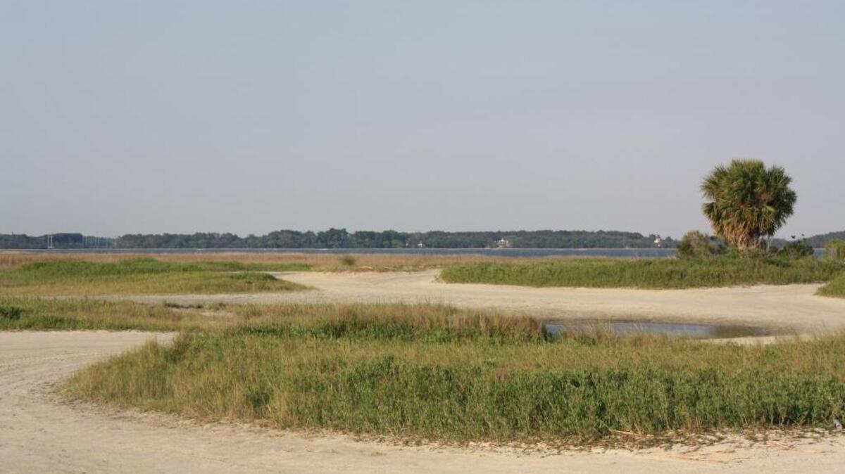The town of Port Royal is renewing a program it hopes helps beautify the town.