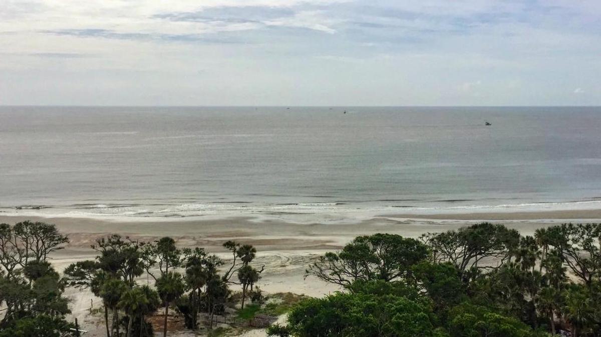 A view of Hunting Island State Park from the top of the lighthouse on June 1, 2017.