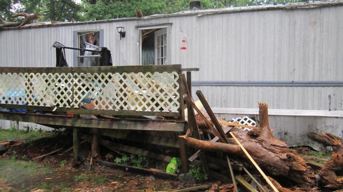 A tree fell on a home on Bonaire Circle South near Shell Point on Wednesday.