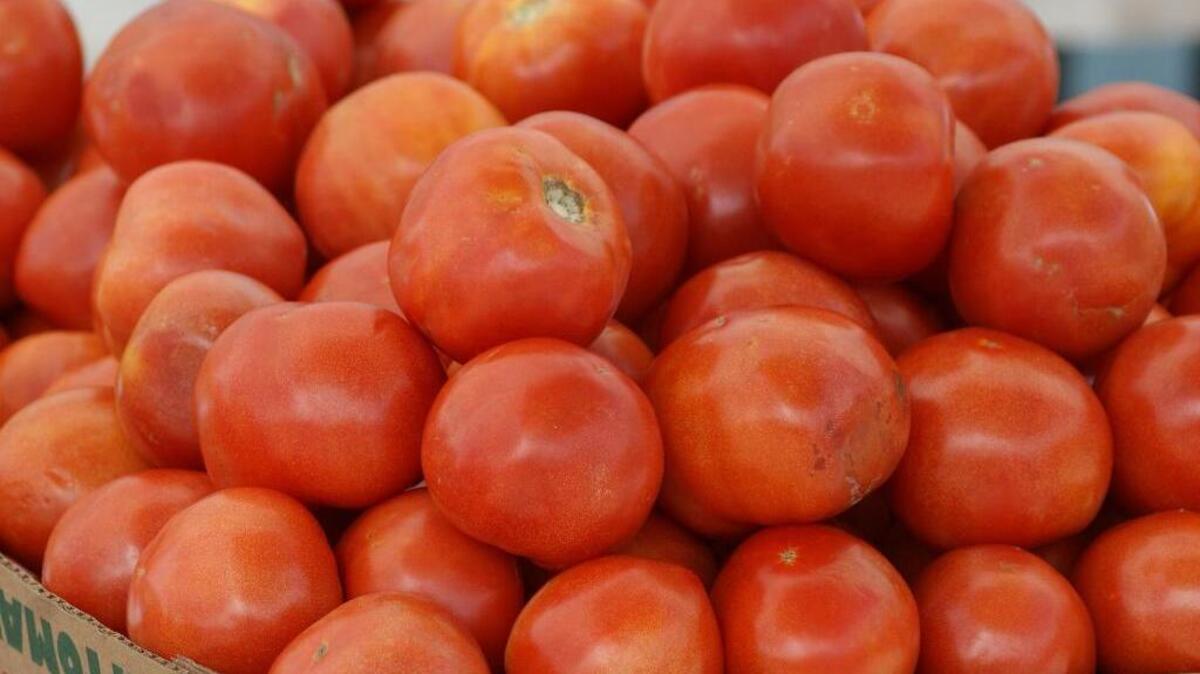 These red, ripe tomatoes from the market in Florida are the perfect start to a tomato sandwich with Duke’s mayo.