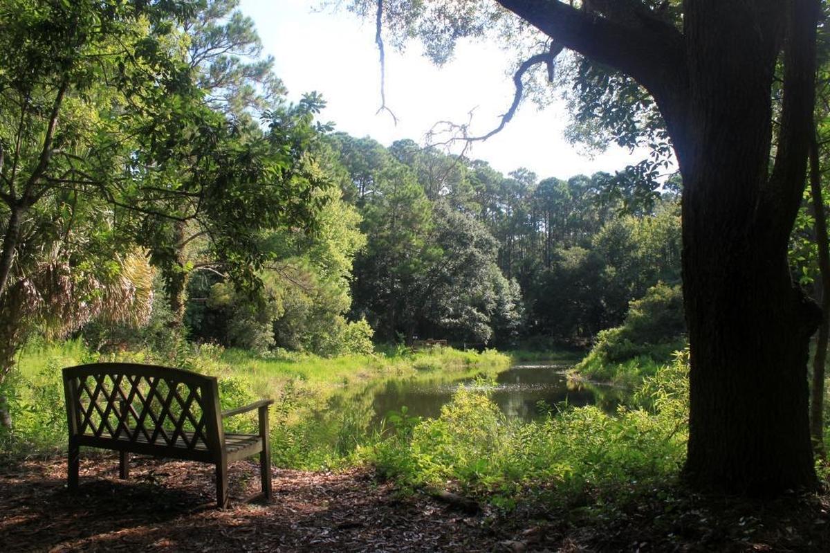 Find peace of mind while experiencing nature at its Lowcountry finest at Audubon Newhall Preserve on Hilton Head Island.