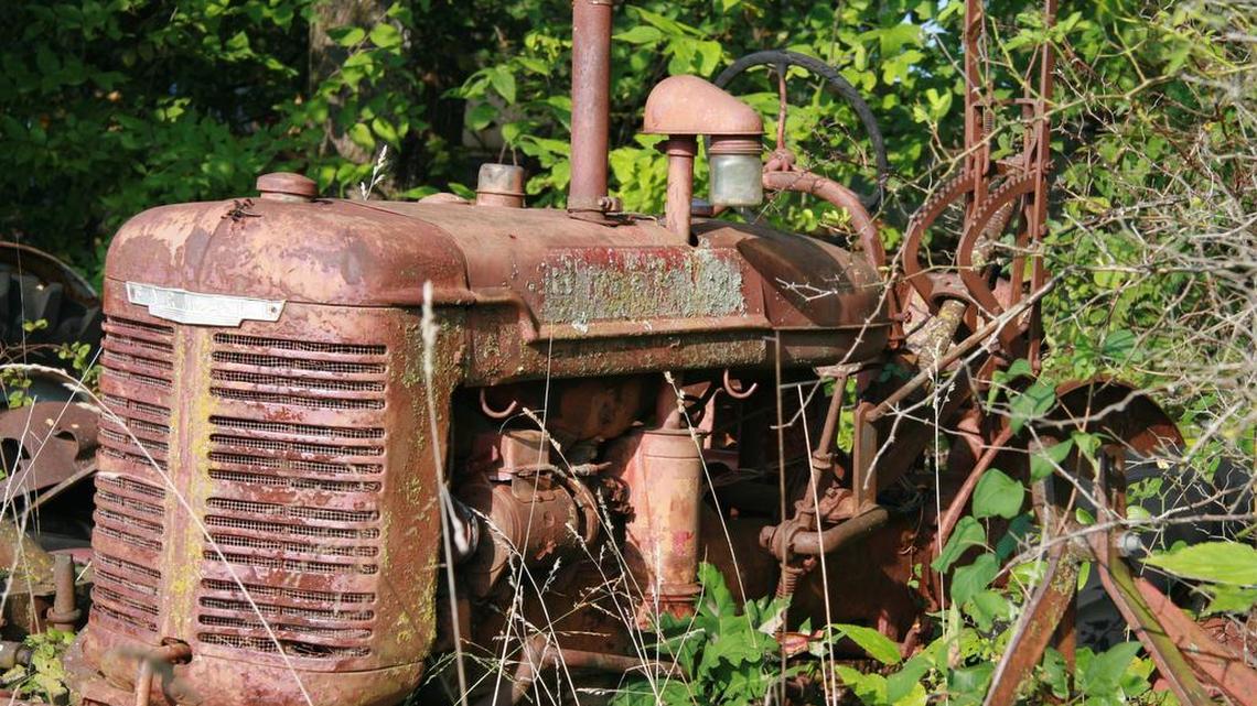 Guscio: Bluffton garden memories grow and blossom