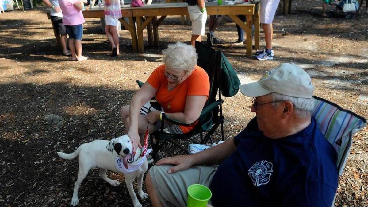 Janice Pinto, a volunteer with the Palmetto Animal League, pets Fallon, a dog that was available for adoption through the Palmetto Animal League while sitting next to her husband Frank Pinto during the Brews and Blues on the Bluff event June 15, 2013, at the Bluffton Oyster Company in Bluffton. A portion of proceeds from the Bluffton Sunset Party event were donated to the Palmetto Animal League.