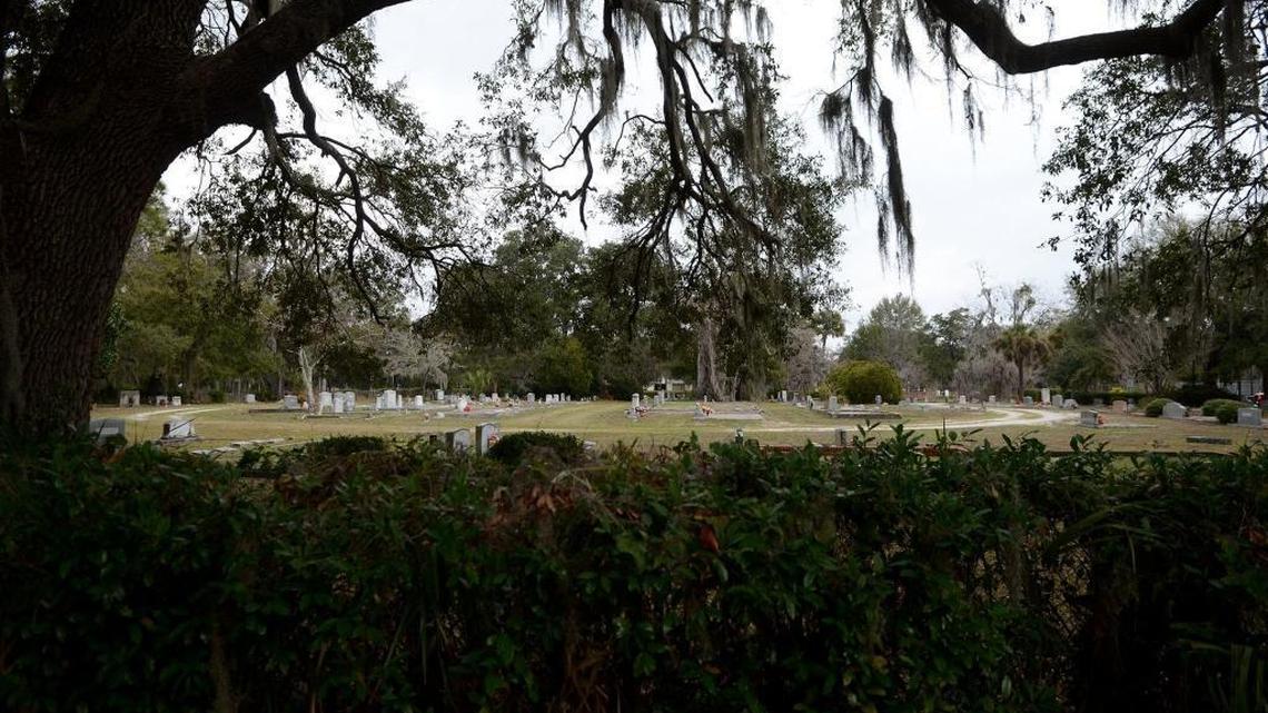 City of Beaufort to remove four trees to protect other trees in Evergreen Cemetery