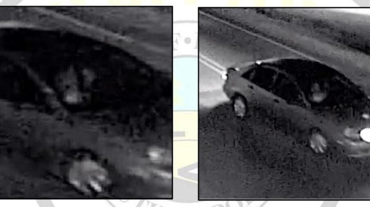 The Bluffton PD released this photo of a car they say was in the area of a gun store burglary.
