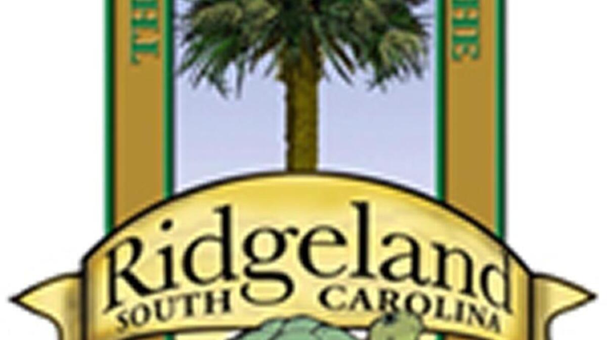 The Town of Ridgeland recently launched a system of more than a dozen security cameras around the downtown area. Police officers are able to view real time footage from the station, their vehicles, and their phones.