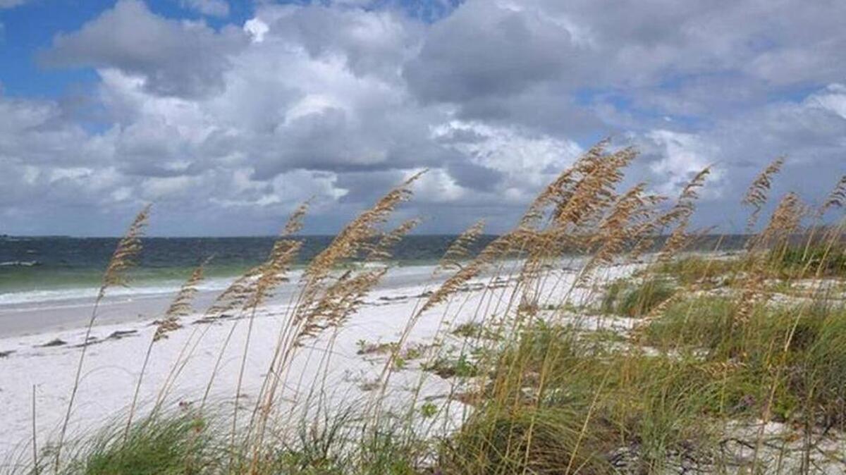 If officials pass the proposal, Tybee Island would ban the consumption of alcohol in public throughout April.