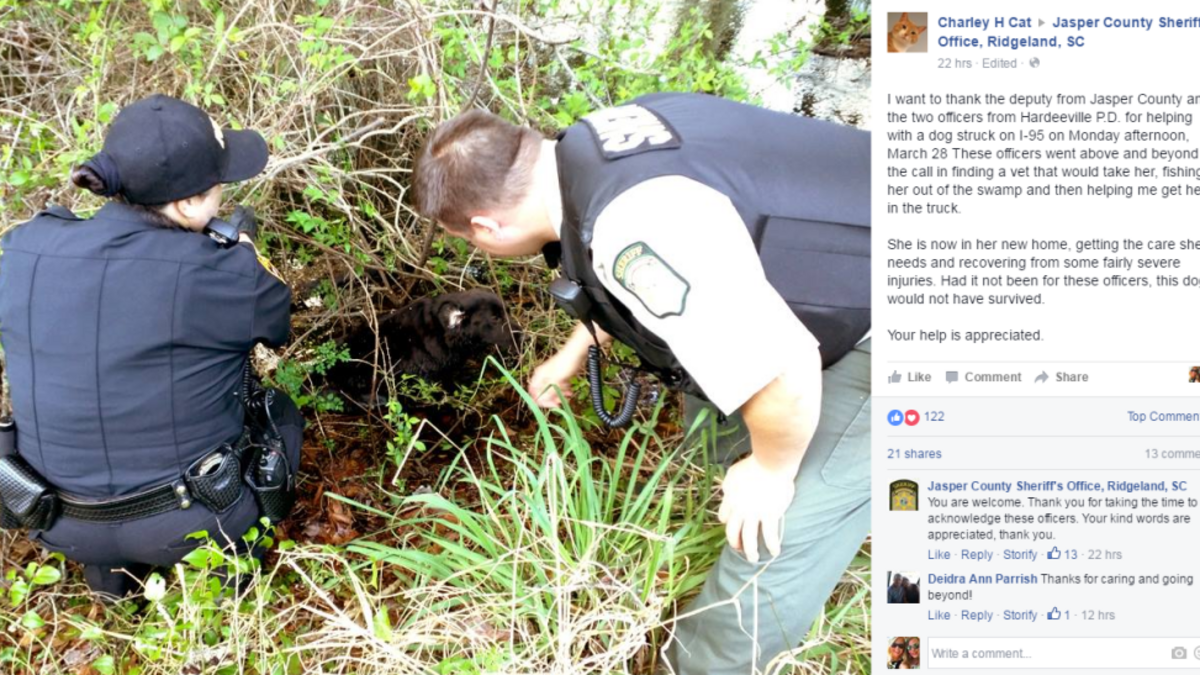 Local police officers are being praised for going “above and beyond the call” of duty by rescuing a lost dog that was left injured on I-95 earlier this week.