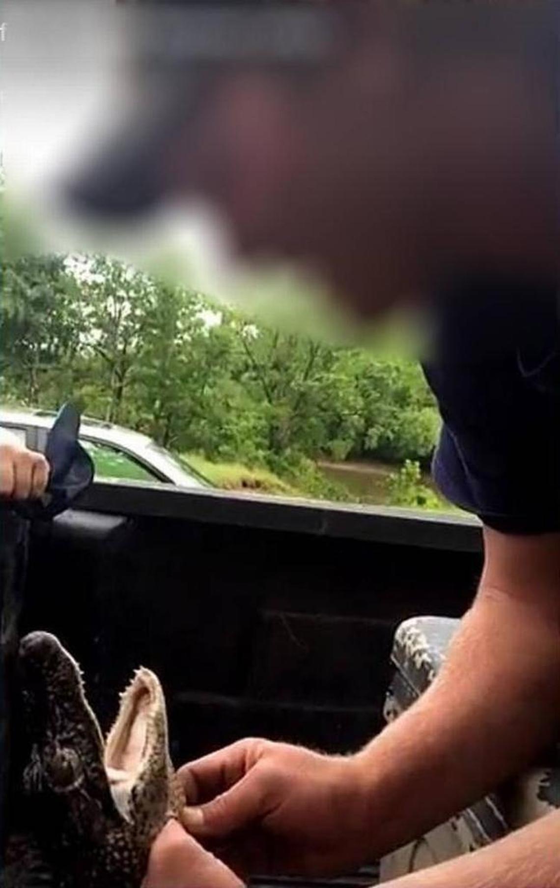 Images posted to a Snapchat story in 2107 show the apparent maltreatment of a young alligator in Beaufort County.