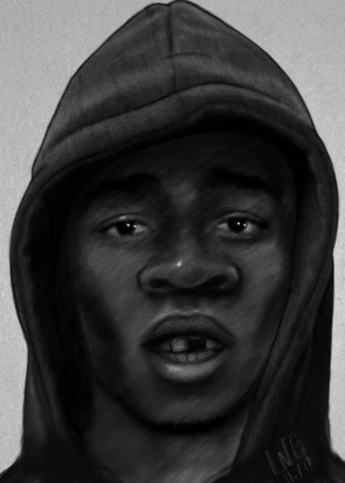 South Carolina Law Enforcement Division composite of sexual assault suspect.