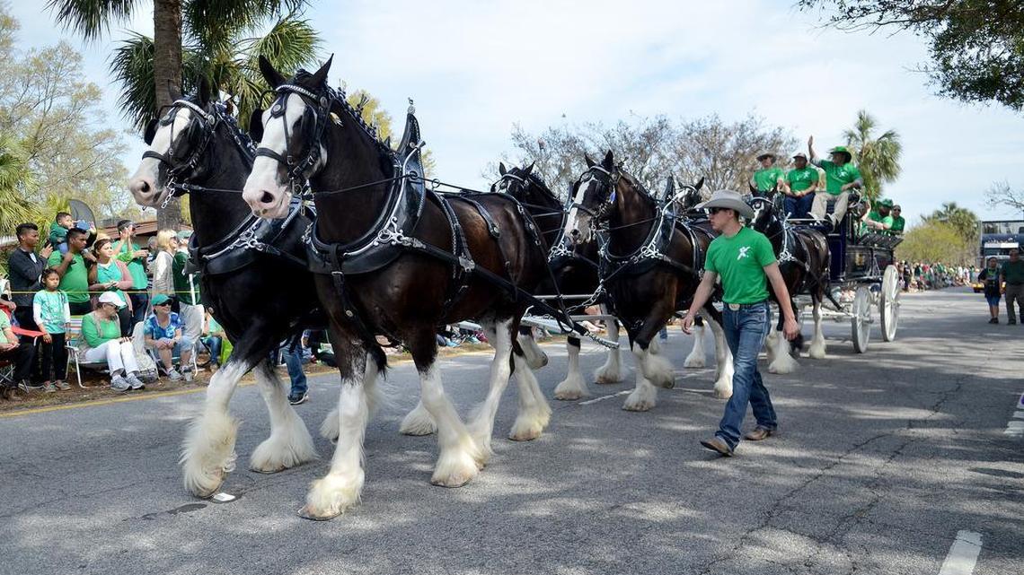 Try your luck at these 4 Hilton Head area St. Patrick’s Day festivals