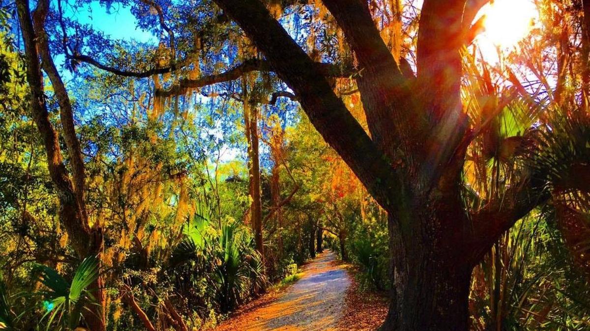 TripAdvisor readers list Sea Pines Forest Preserve as one of the must-do activities on Hilton Head Island.