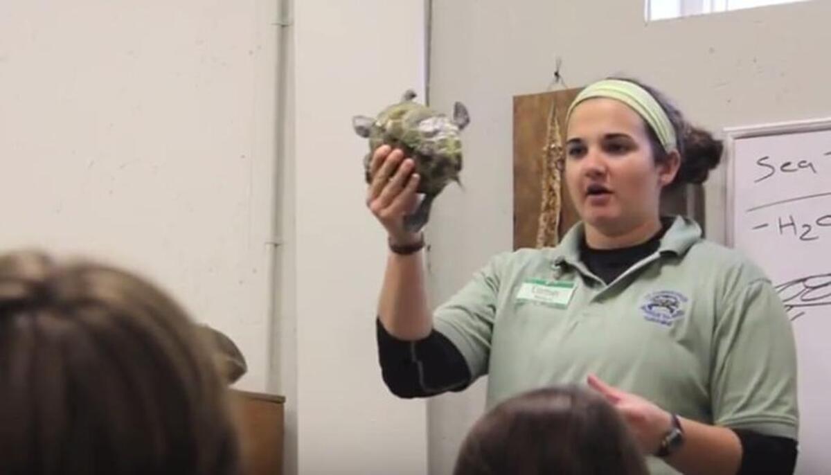 Screengrab of St. Christopher’s taken from a video about the organization’s Barrier Island Environmental Education Program, the same program Hilton Head Island Elementary School fifth-graders can attend for the first time this winter.