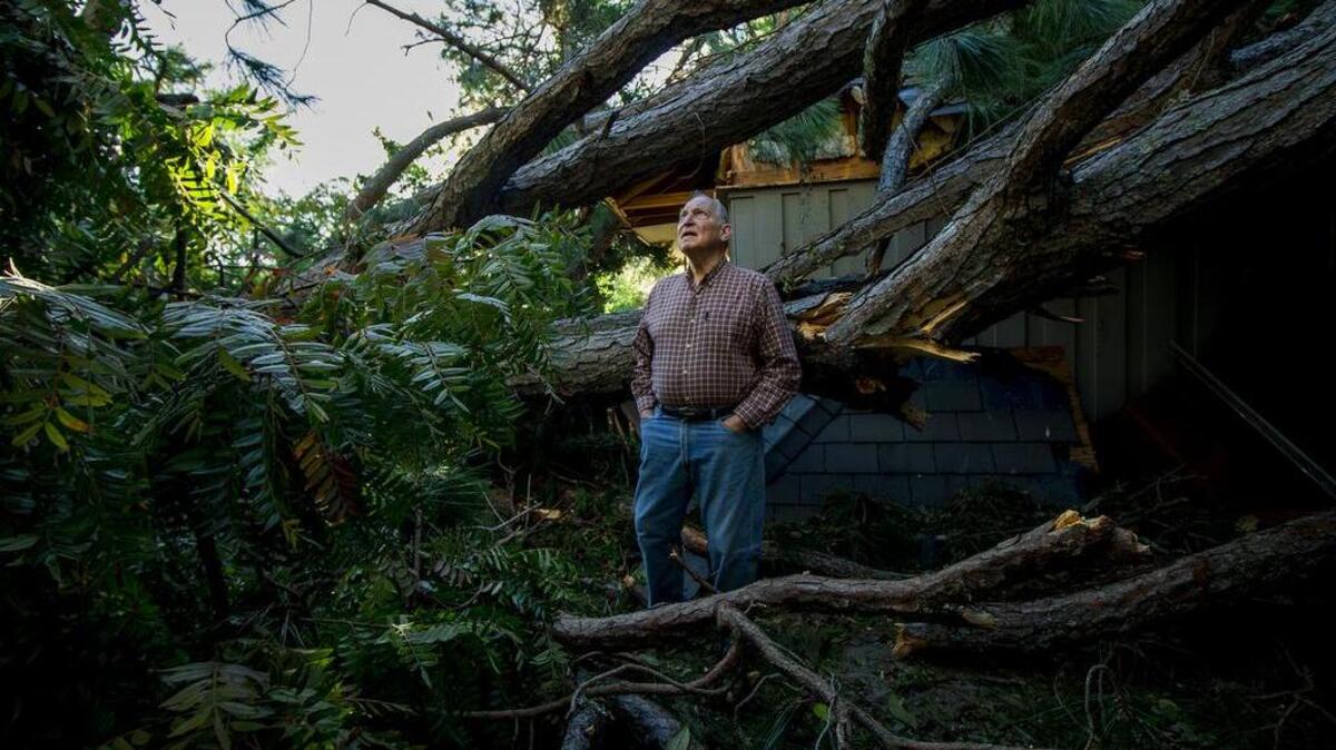 Sarah Sugg, a senior at Hilton Head Island High School, has been awarded a silver medal in the national Alliance for Young Artists & Writers contest for a photo she took of her grandfather in the aftermath of Hurricane Matthew.
