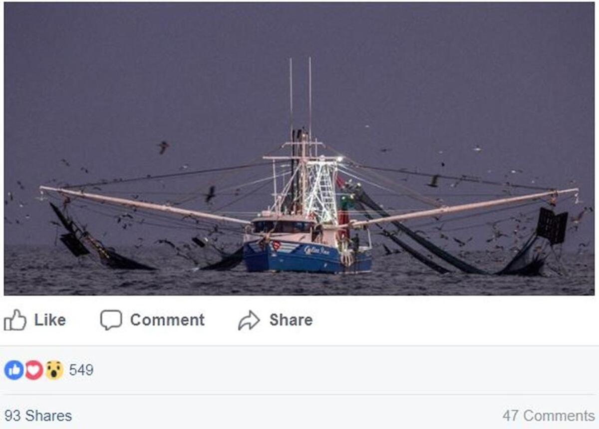 A screenshot of Terri Chabot’s picture of the shrimp trawler Catina Renea posted to Kure Beach Pier’s Facebook page.