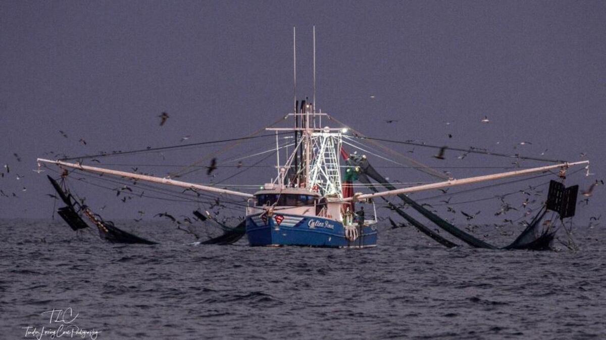 Terri Chabot took this photo of the Catina Renea, a Hilton Head Island shrimp boat as it was trawling off the coast Saturday, Nov. 18, 2017, near her home in Kure Beach, N.C.