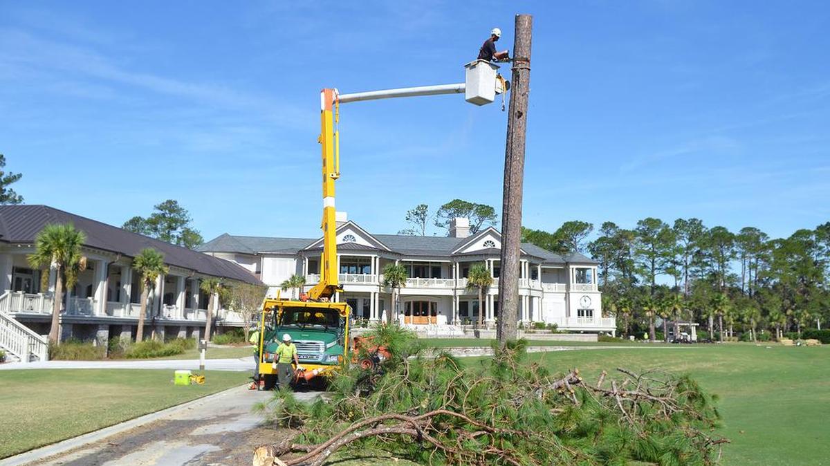 A tree removal crew clears a large pine from in front of the Harbour Town Clubhouse as repairs from Hurricane Matthew continue on Friday, Oct. 14, 2016. Debris clearing work appeared to be well along at Harbour Town Golf Links, and at the nearby Heron Point and Ocean Dunes courses.