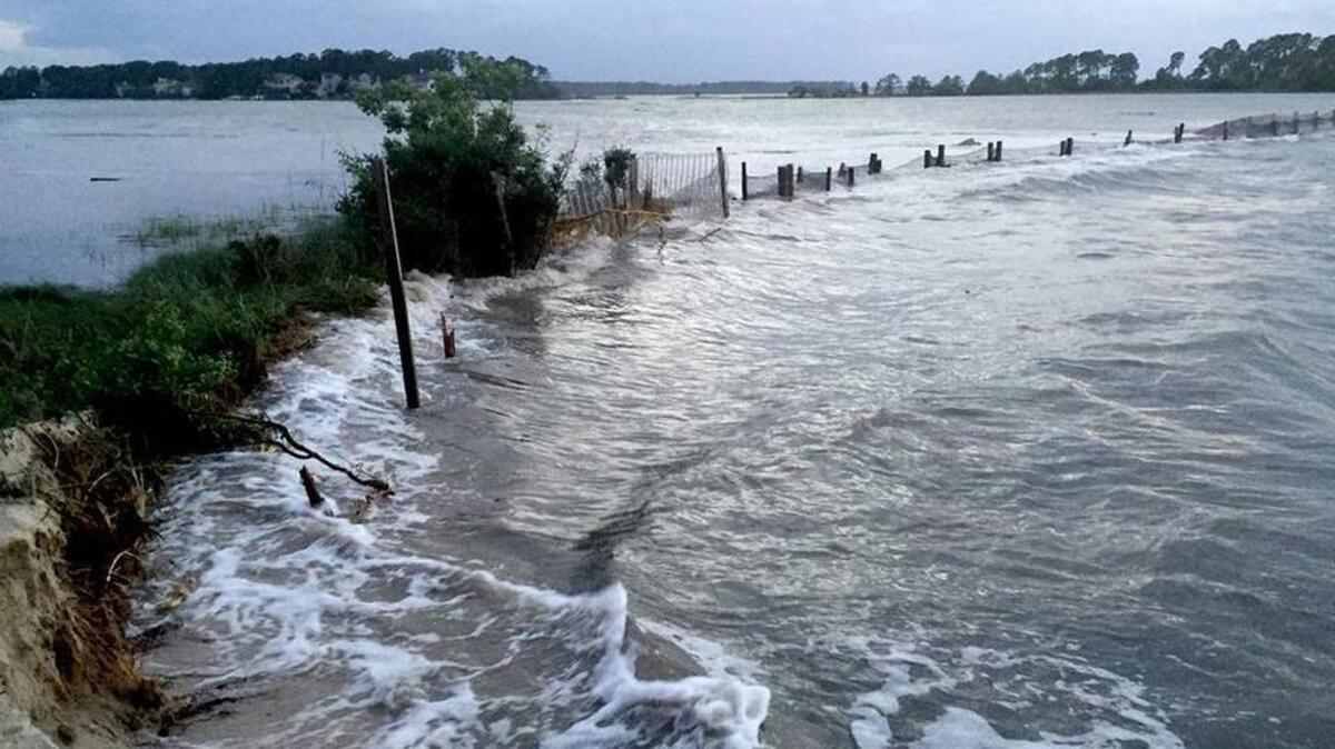 Water from the Port Royal Sound breached a sand spit near Pine Island, located inside Hilton Head Plantation, in 2016. Water intruding into the marsh (left) could damage the town’s stormwater system, according to neighborhood leaders.