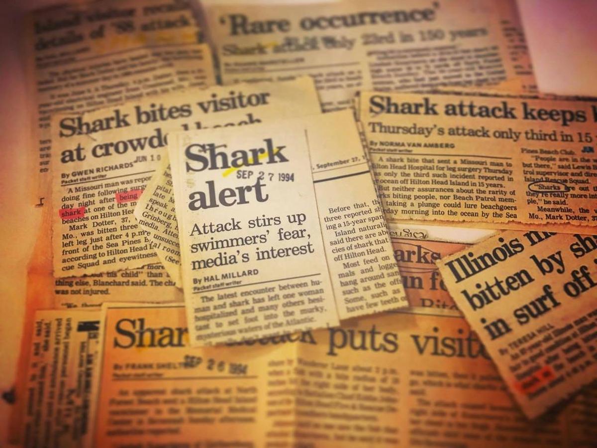 A look at shark attack headlines from the Island Packet and Beaufort Gazette newspaper over the past 30 years.