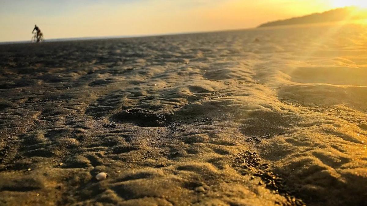 A tidy pile of ghost shrimp pellets on a Hilton Head Island beach. Mandy Matney mmatney@islandpacket.com