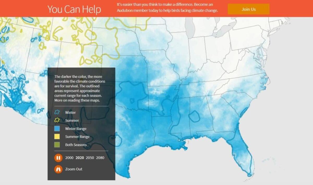 http://climate.audubon.org/birds/amwpel/american-white-pelican