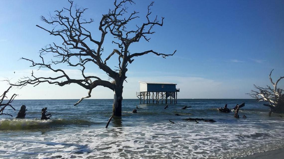 6 reminders why Hunting Island should not be taken for granted