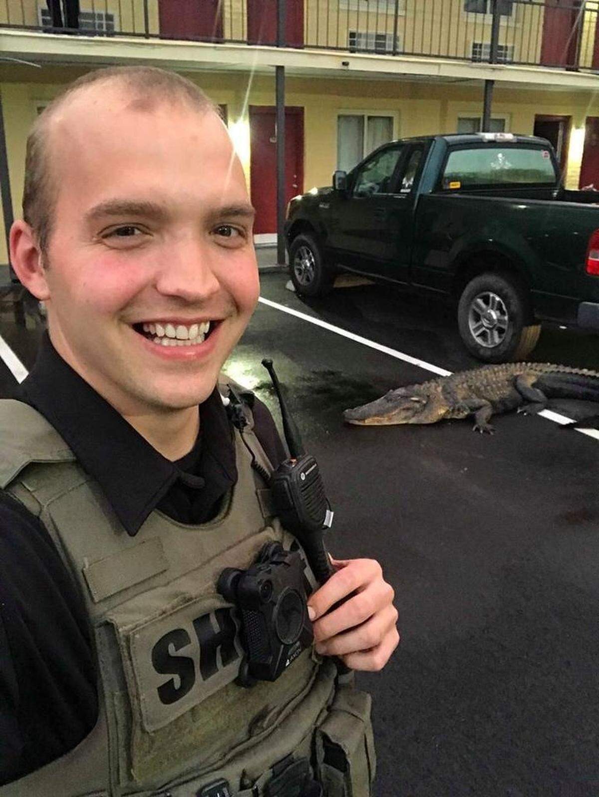 Jasper County Sheriff's Office deputy John Mitaly takes a photo with an alligator in the parking lot a motel in Yemassee on May 15, 2018.