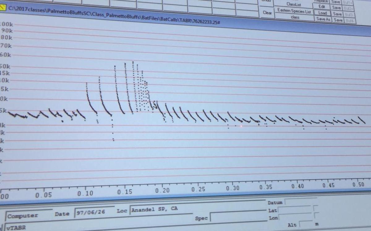 Data collected from an Anabat Walkabout Active Bat Detector shows a bat’s feeding call.